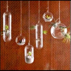 West Elm Shane Powers glass bubbles